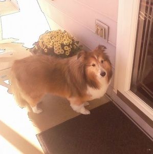 Meet your Posher, Connie